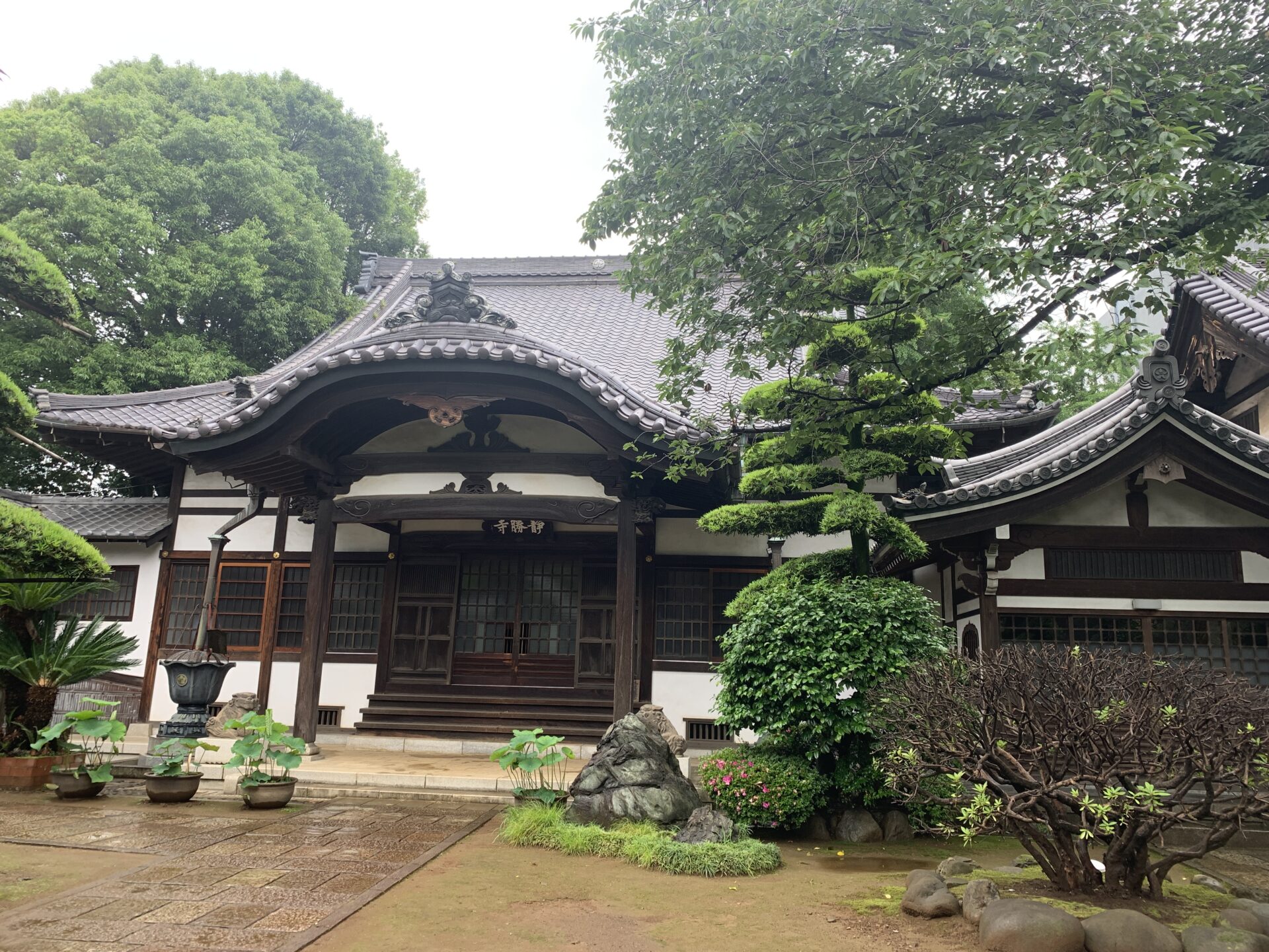 軍学に精通した太田道灌が築城〜稲付城(いねつけじょう・武蔵(東京)) シンの戦国探訪記