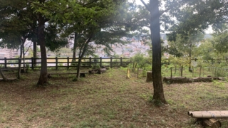 Thumbnail of post image 078