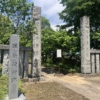 Thumbnail of new posts 100
