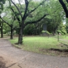 Thumbnail of new posts 031