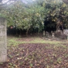 Thumbnail of new posts 164