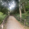 Thumbnail of new posts 084