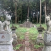 Thumbnail of new posts 013